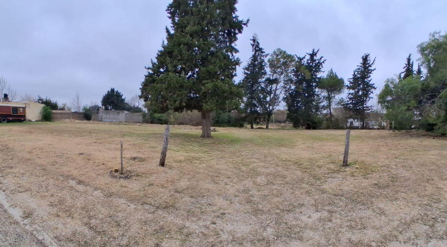 Foto de Terreno 900 m2 en zona de quintas, C Avellaneda, imagen 4