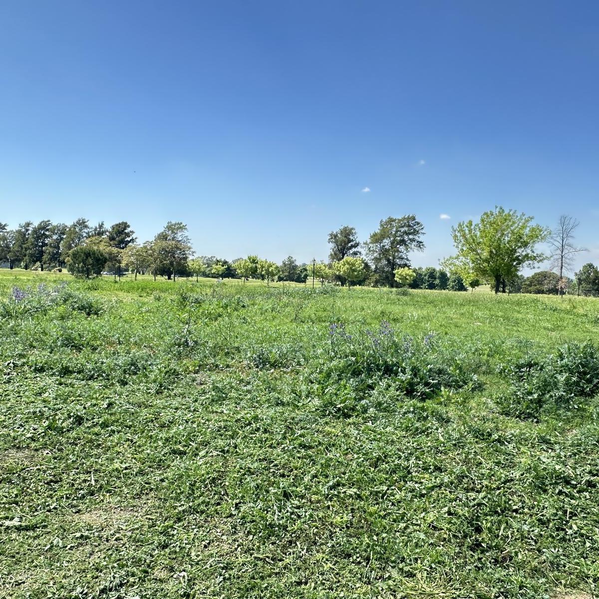 Lote en Pilar Golf Club