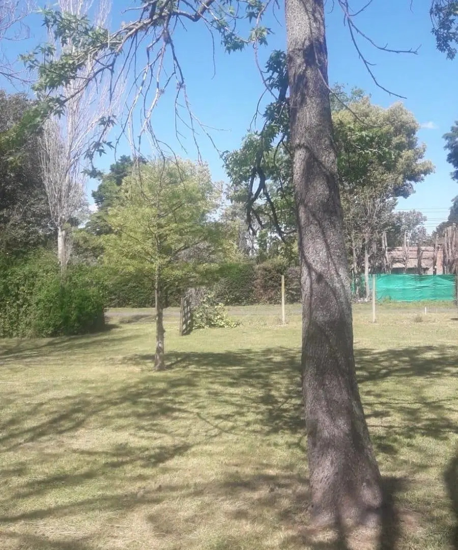 VENTA DE LOTE CENTRAL CON PLATEA DE 60 M2 EN PARQUE IRIZAR 8
