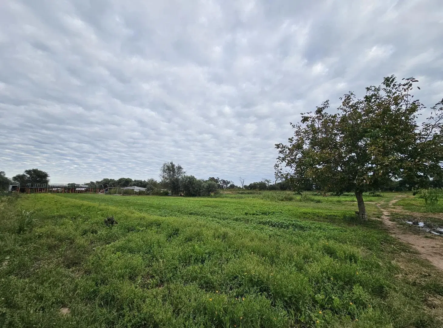 Terreno 6 Ha. Autopista Cordoba Pilar 1