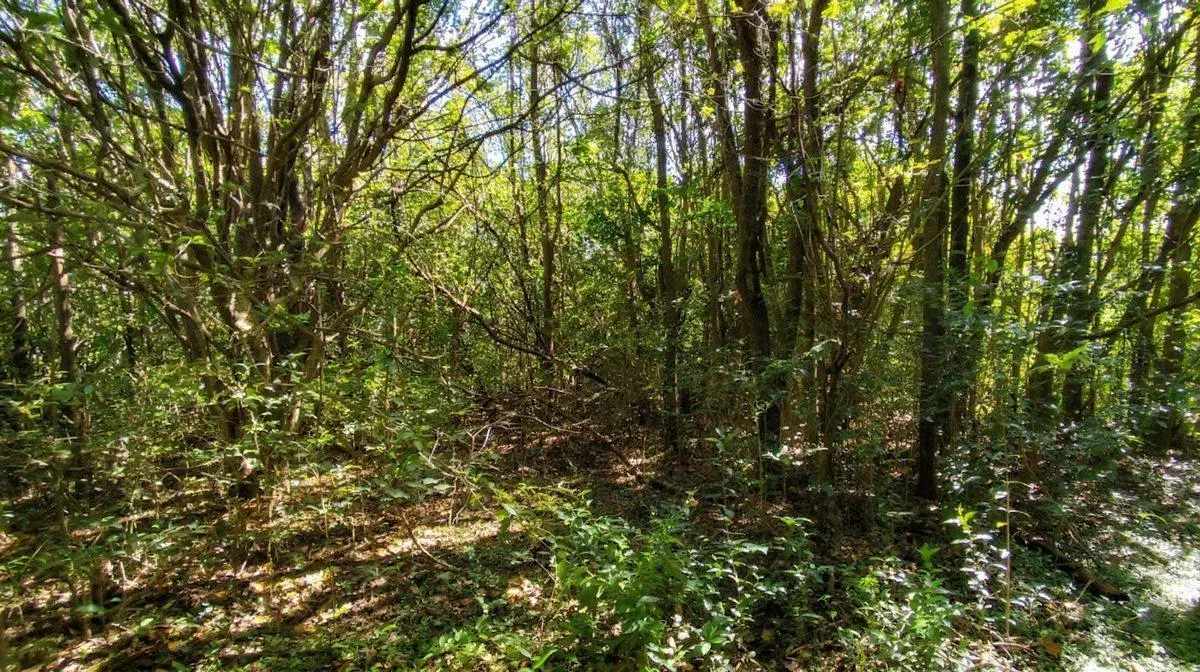 Lote de Terrenos de 6457m2 en Venta Radial Rosario 5