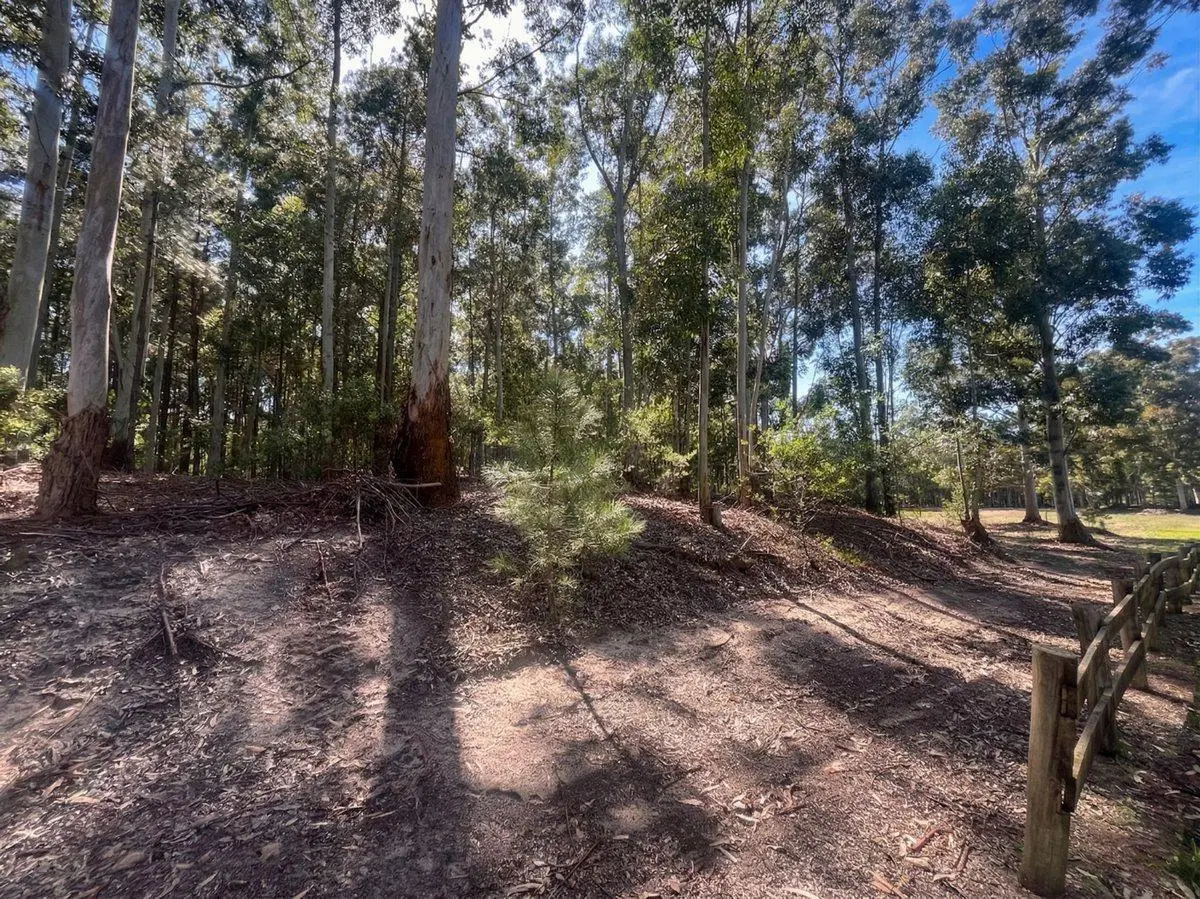 Terreno de una Hectárea a Metros del Río - Carmelo 3
