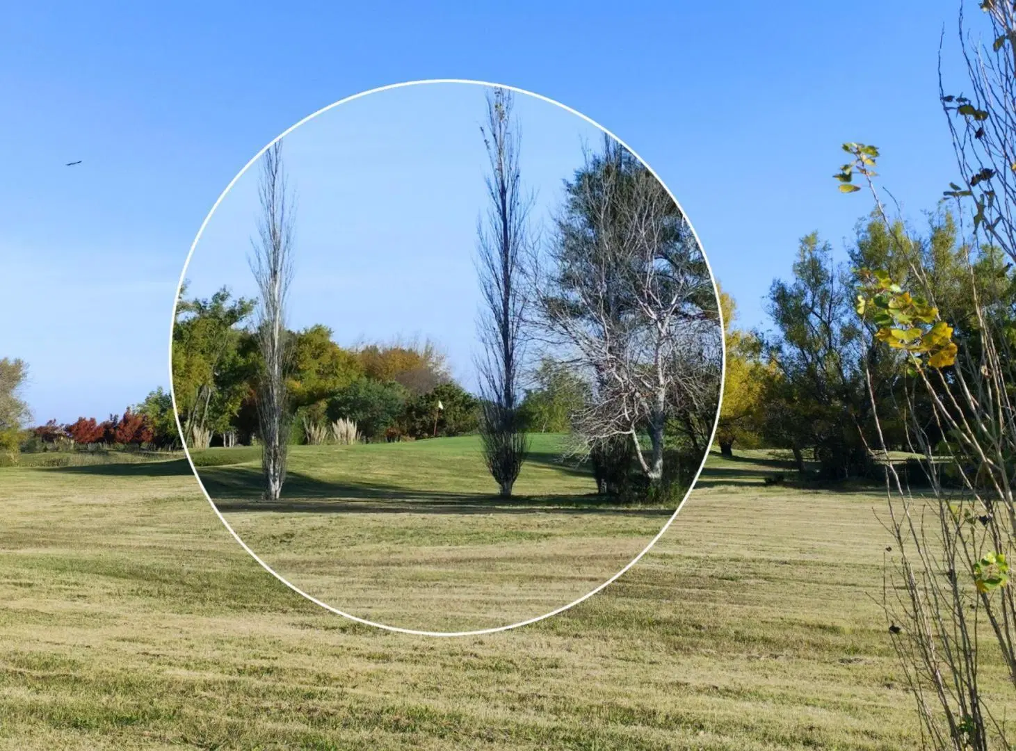 Lote 17 de 1.878 m² en Venta en Village & Golf 4