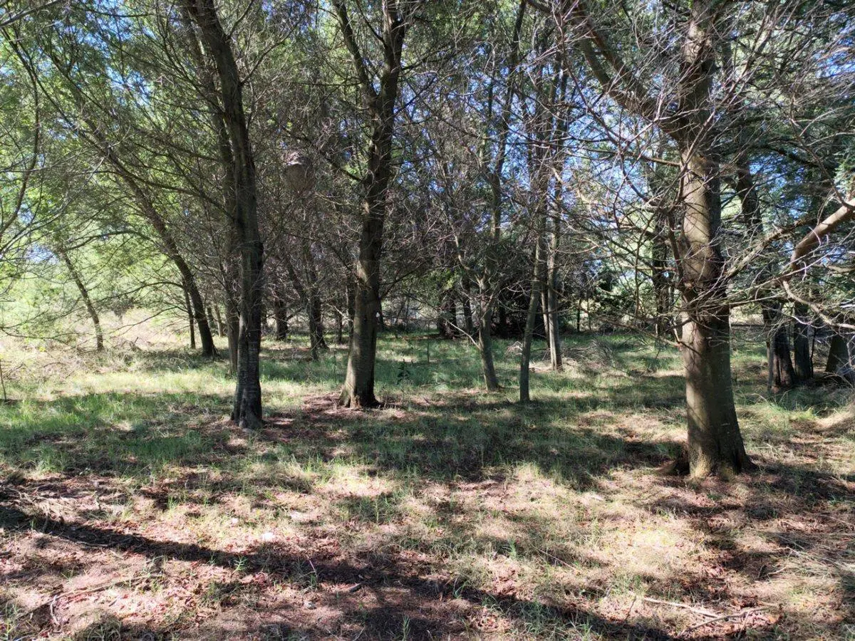 Terreno de Una Hectárea en El Ensueño - Los Aromos 3
