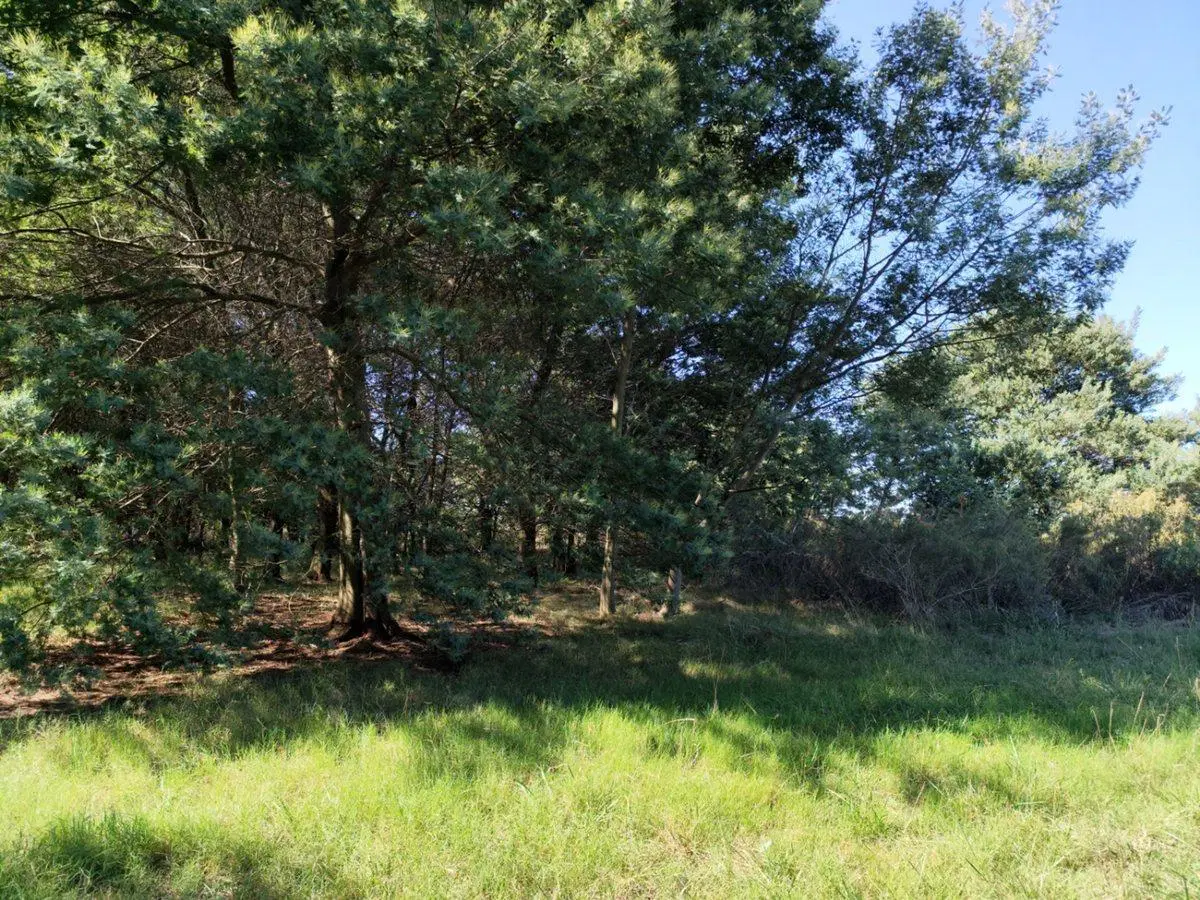 Terreno de Una Hectárea en El Ensueño - Los Aromos 5
