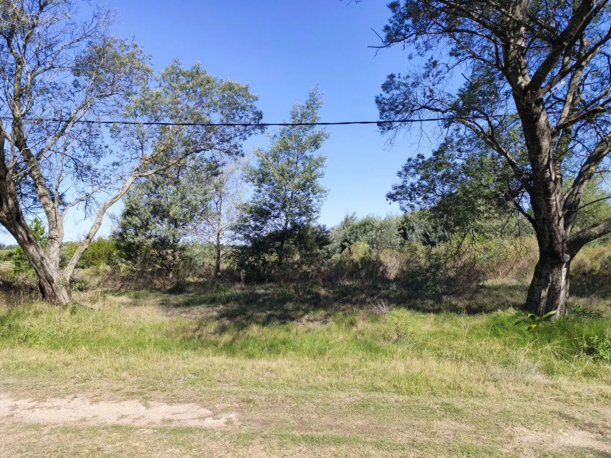 Terreno de Una Hectárea en El Ensueño - Los Aromos 8