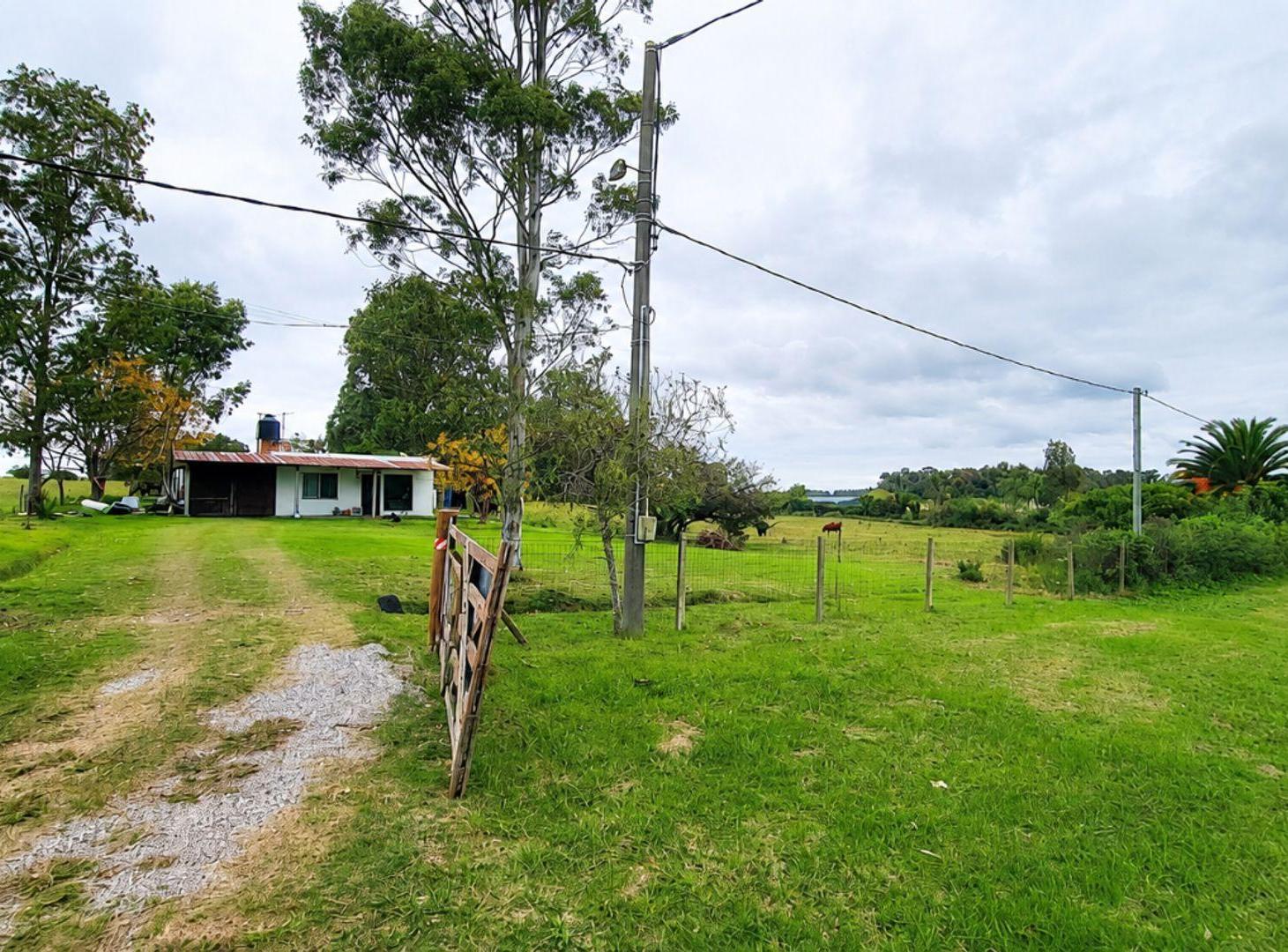 Foto de Casa+1.8 hectáreas en venta sobre Ruta 1, imagen 2