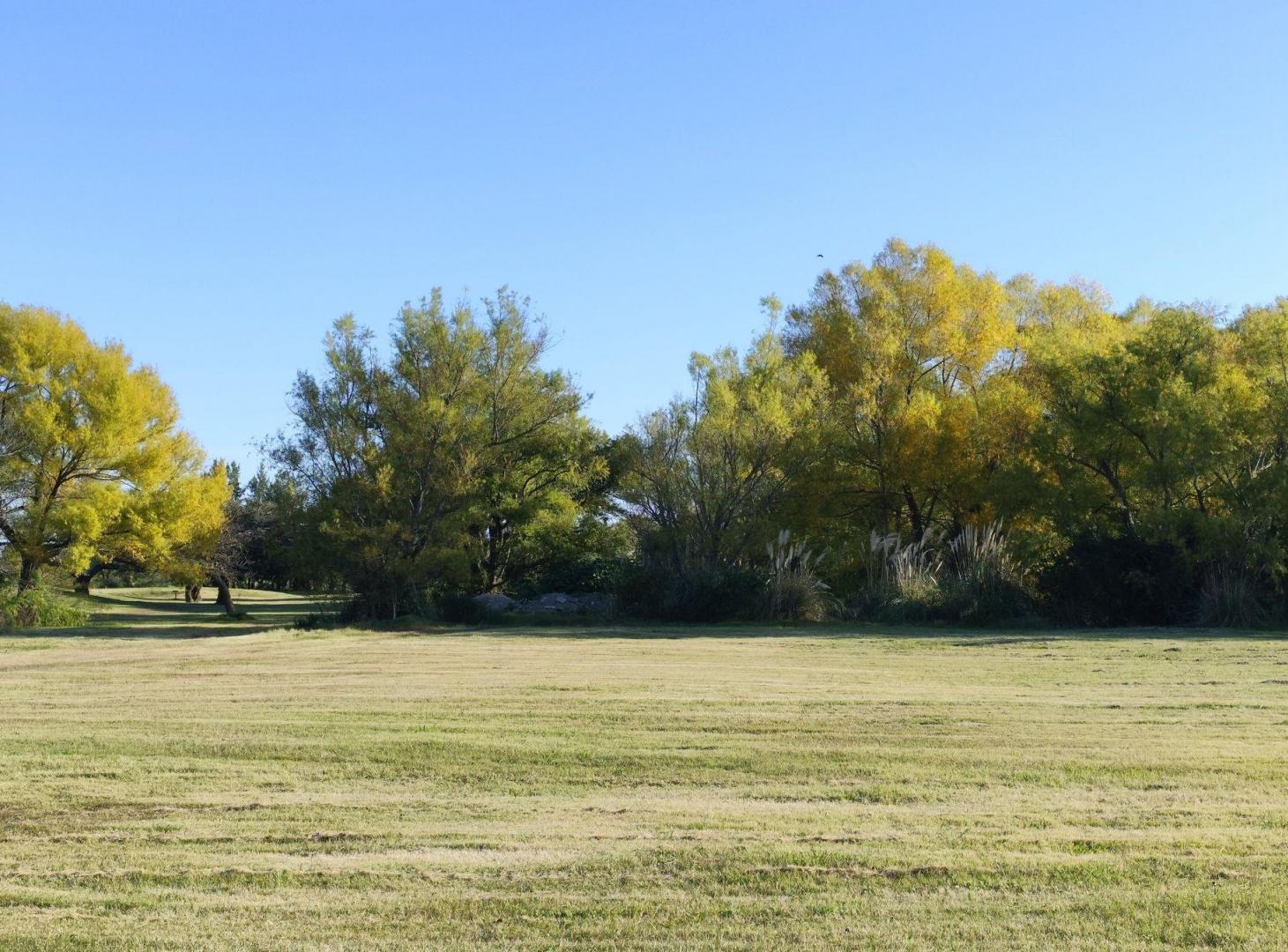 Foto de Lote 18 de 1.675 m² en Venta en Village & Golf, imagen 3