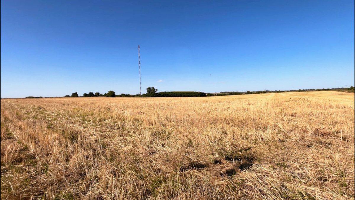 Foto de Chacra de 5has en Venta en San Pedro - Colonia, imagen 2