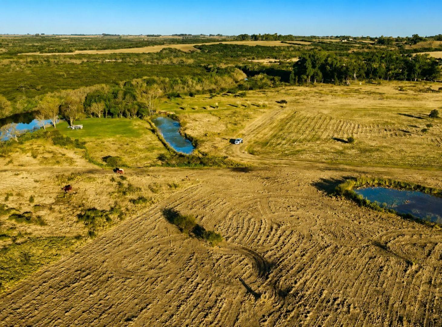 Foto de Terreno en Venta, Carmelo "Las perdices" C/amarre, imagen 5
