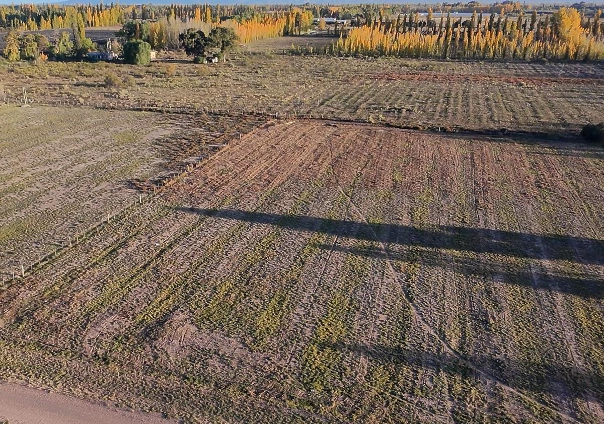 Terreno, Lote 1