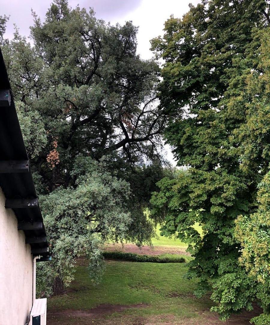Foto de Lujosa casa con gran finca, imagen 1