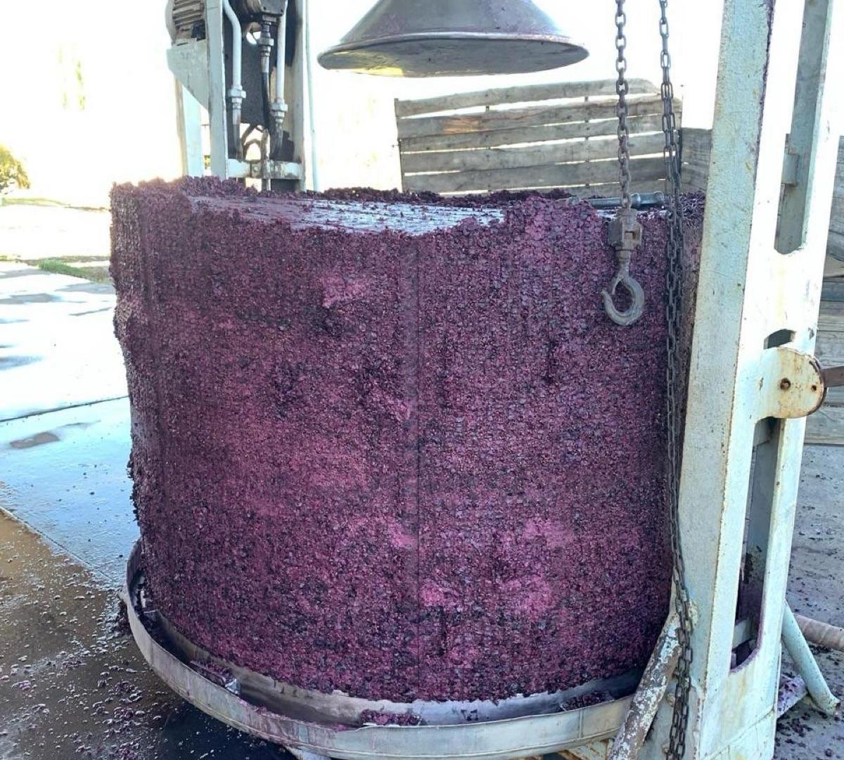 Foto de Bodega - Cuadro Nacional, imagen 4