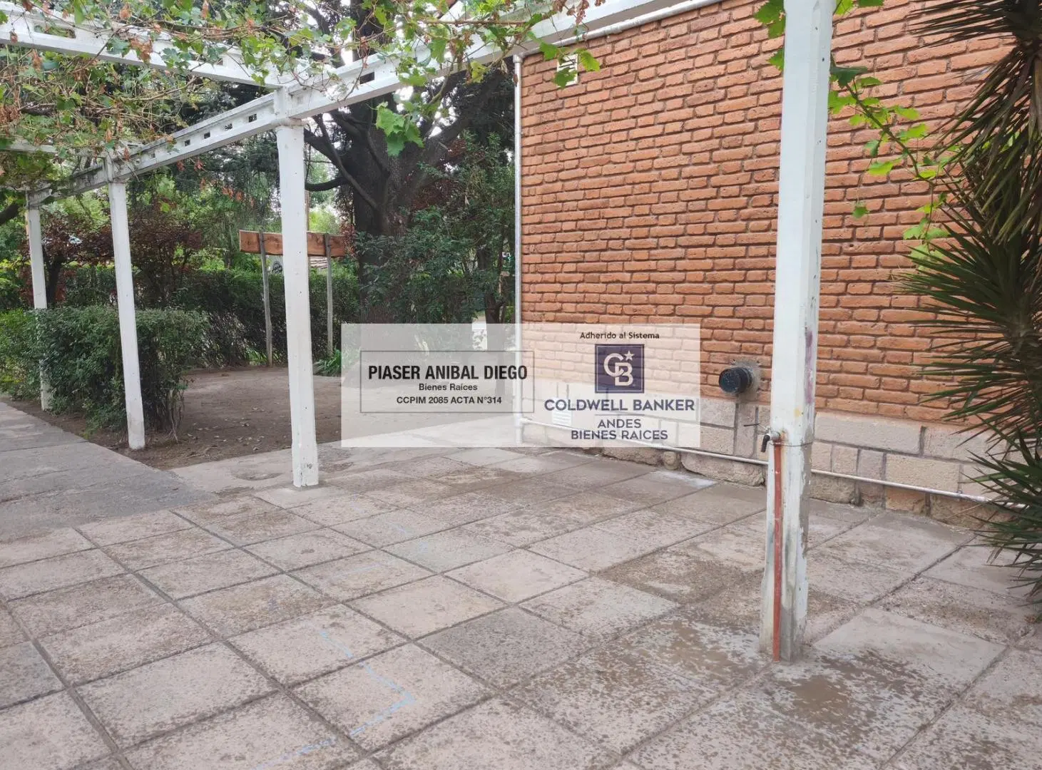 Casa en San Rafael Mendoza con parque de 8.029 m² | 328 m² cubiertos de categoría y privacidad total 5