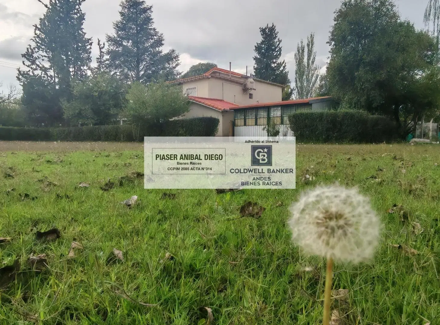 Casa en San Rafael Mendoza con parque de 8.029 m² | 328 m² cubiertos de categoría y privacidad total 3