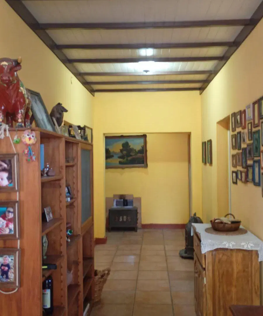 Finca de 8 ha. + Casona de Campo 3