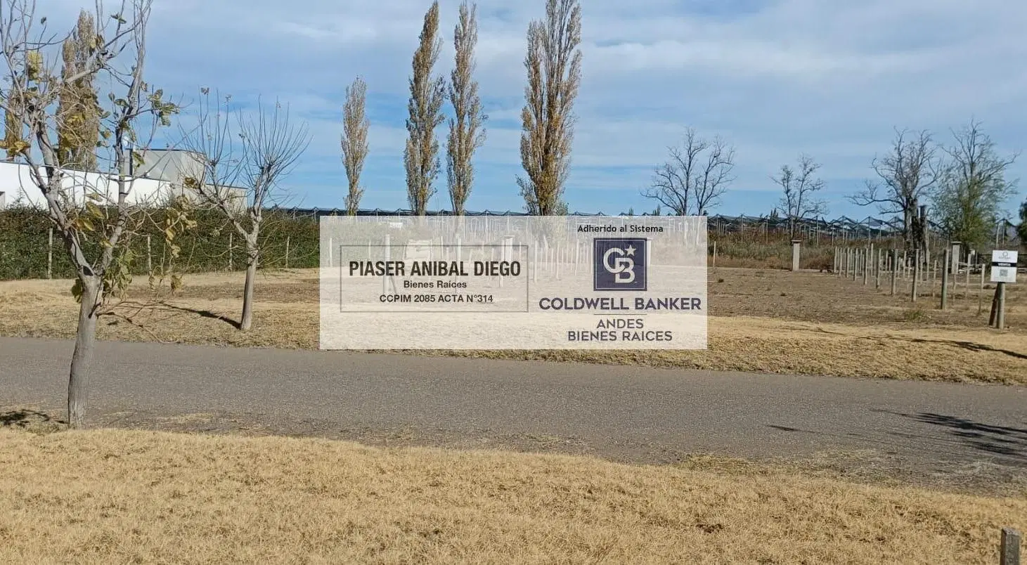 Terreno en San Rafael 8