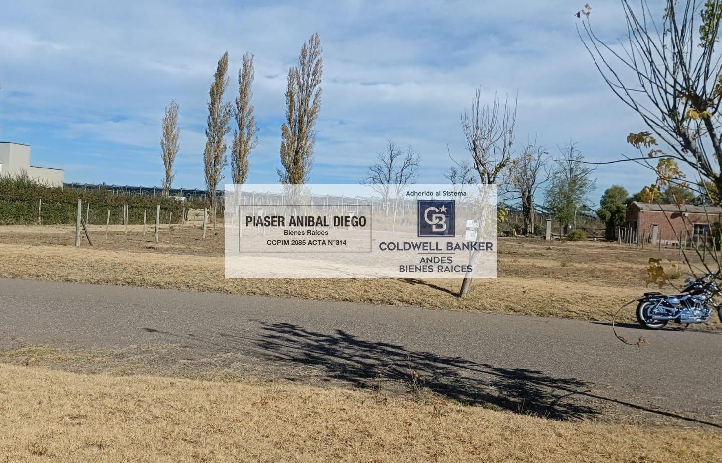 Foto de Terreno en San Rafael, imagen 4