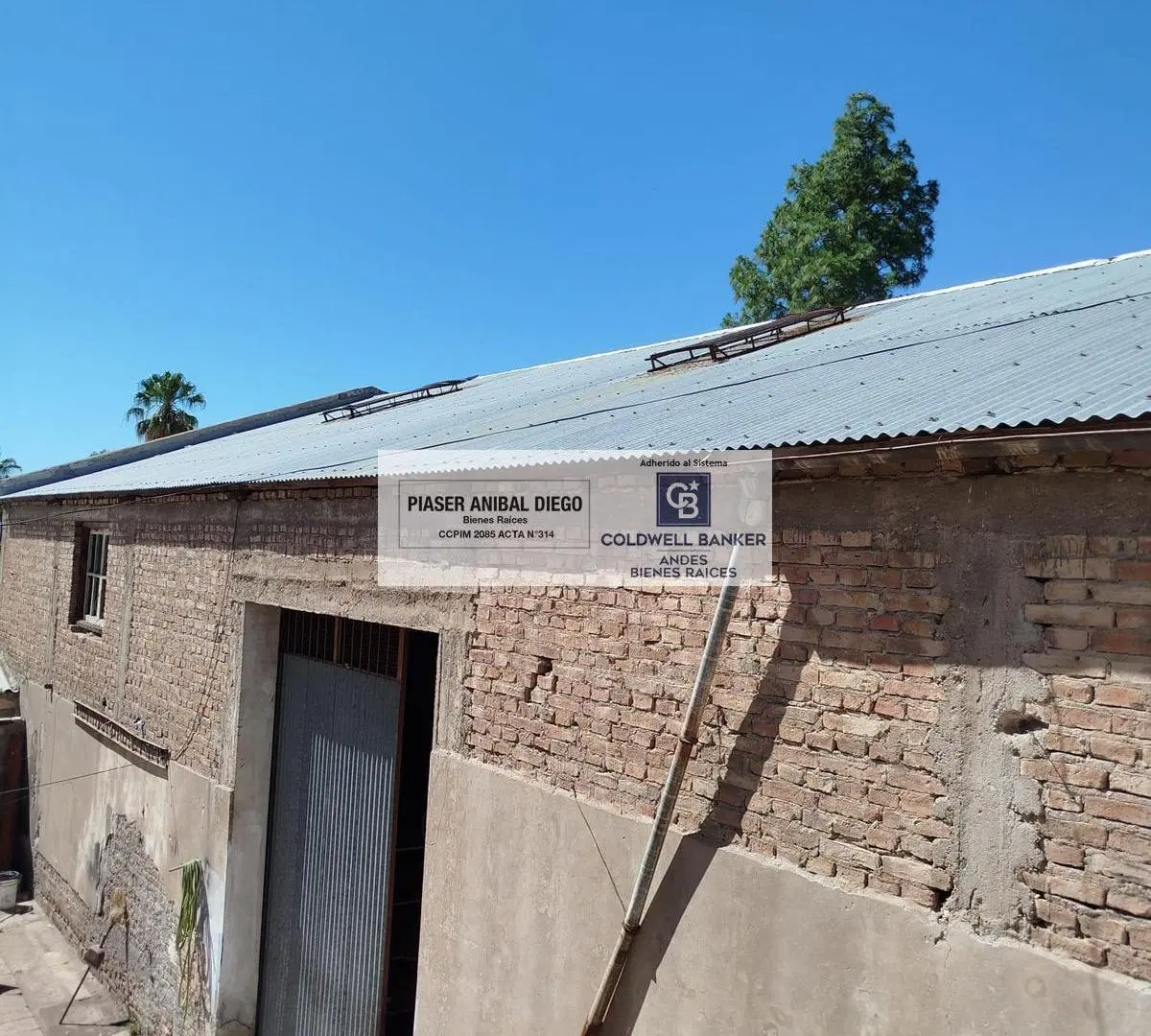 Galpón y lote centrico en san Rafael 3