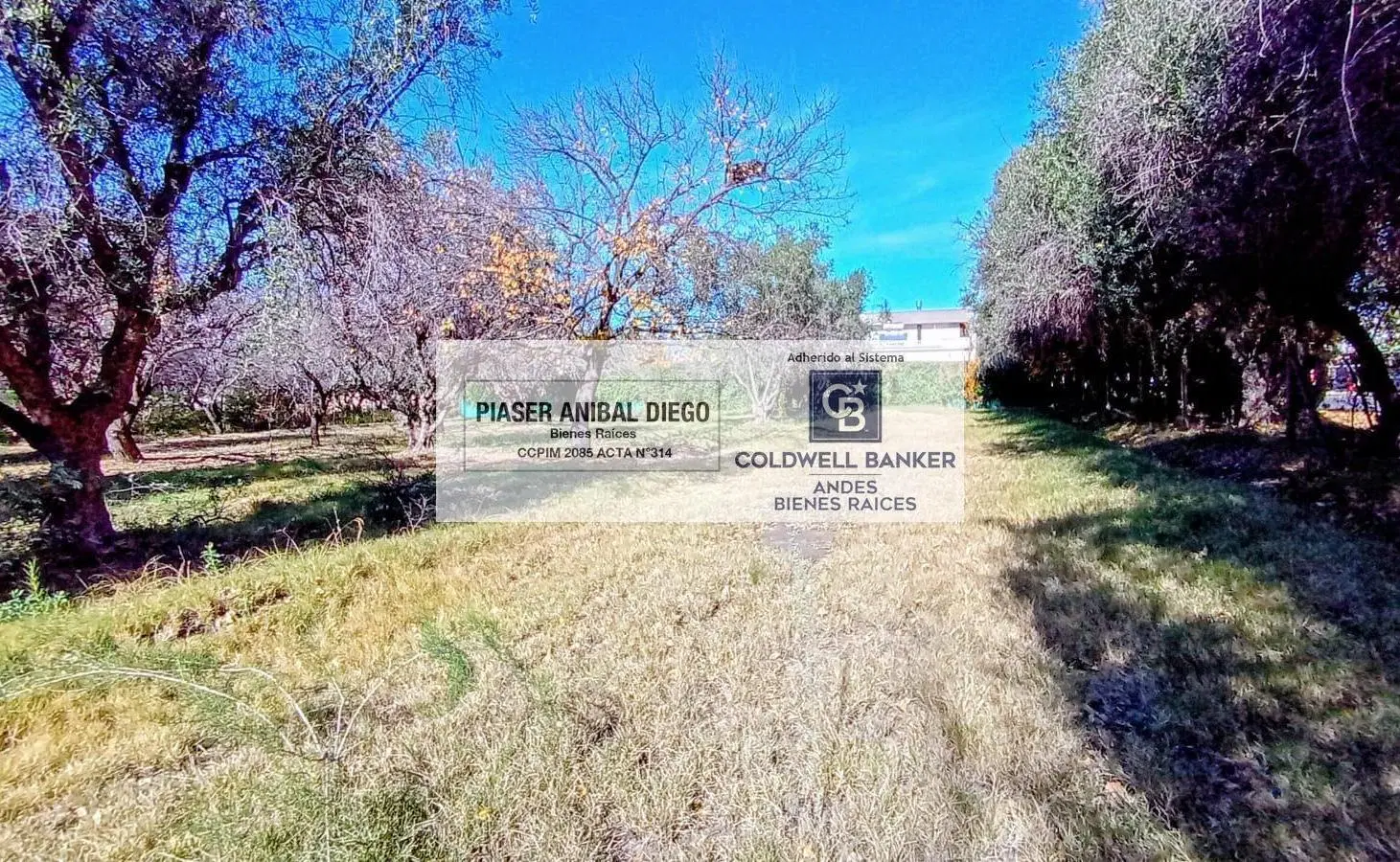 Terreno en venta en calle Simon Bolivar, San Rafael Mendoza 5