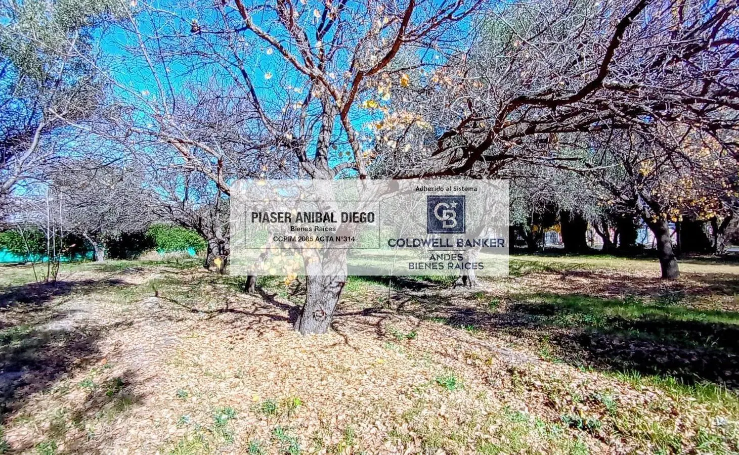 Terreno en venta en calle Simon Bolivar, San Rafael Mendoza 2