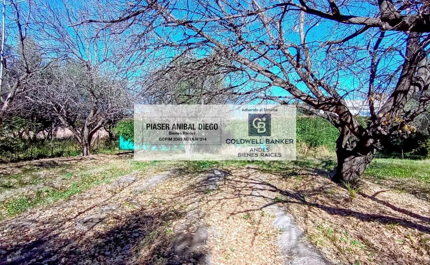 Terreno en venta en calle Simon Bolivar, San Rafael Mendoza 4