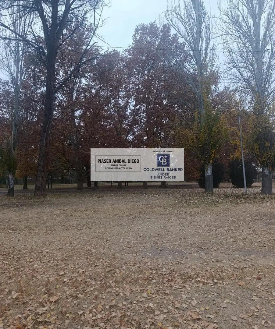 Terreno 4