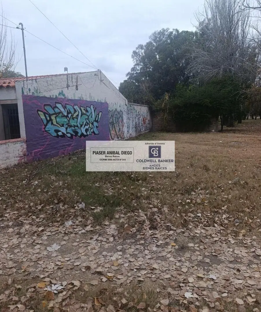 Terreno 3