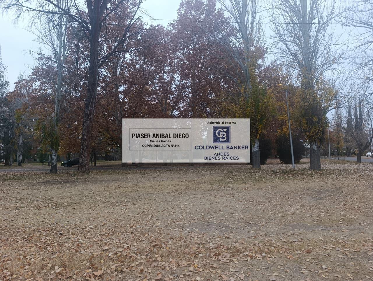 Foto de Terreno, imagen 5