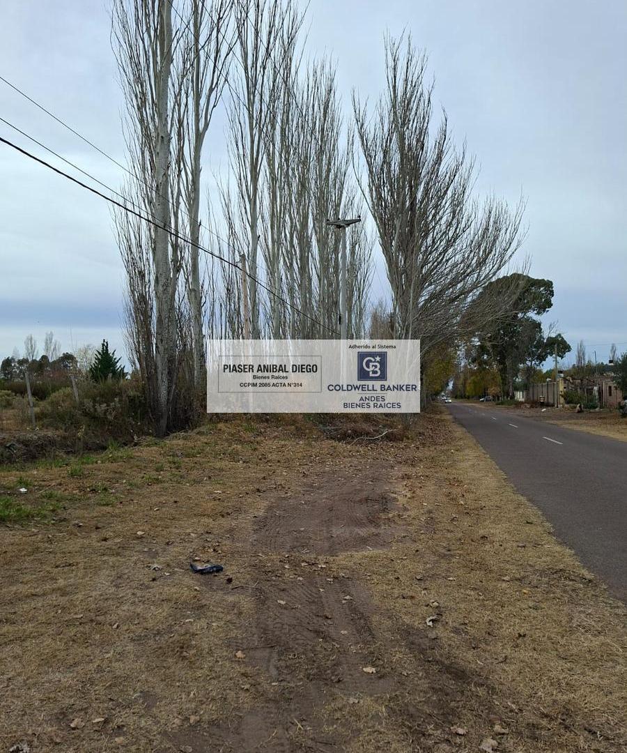Oportunidad Terreno 1 ha zona privilegiada!