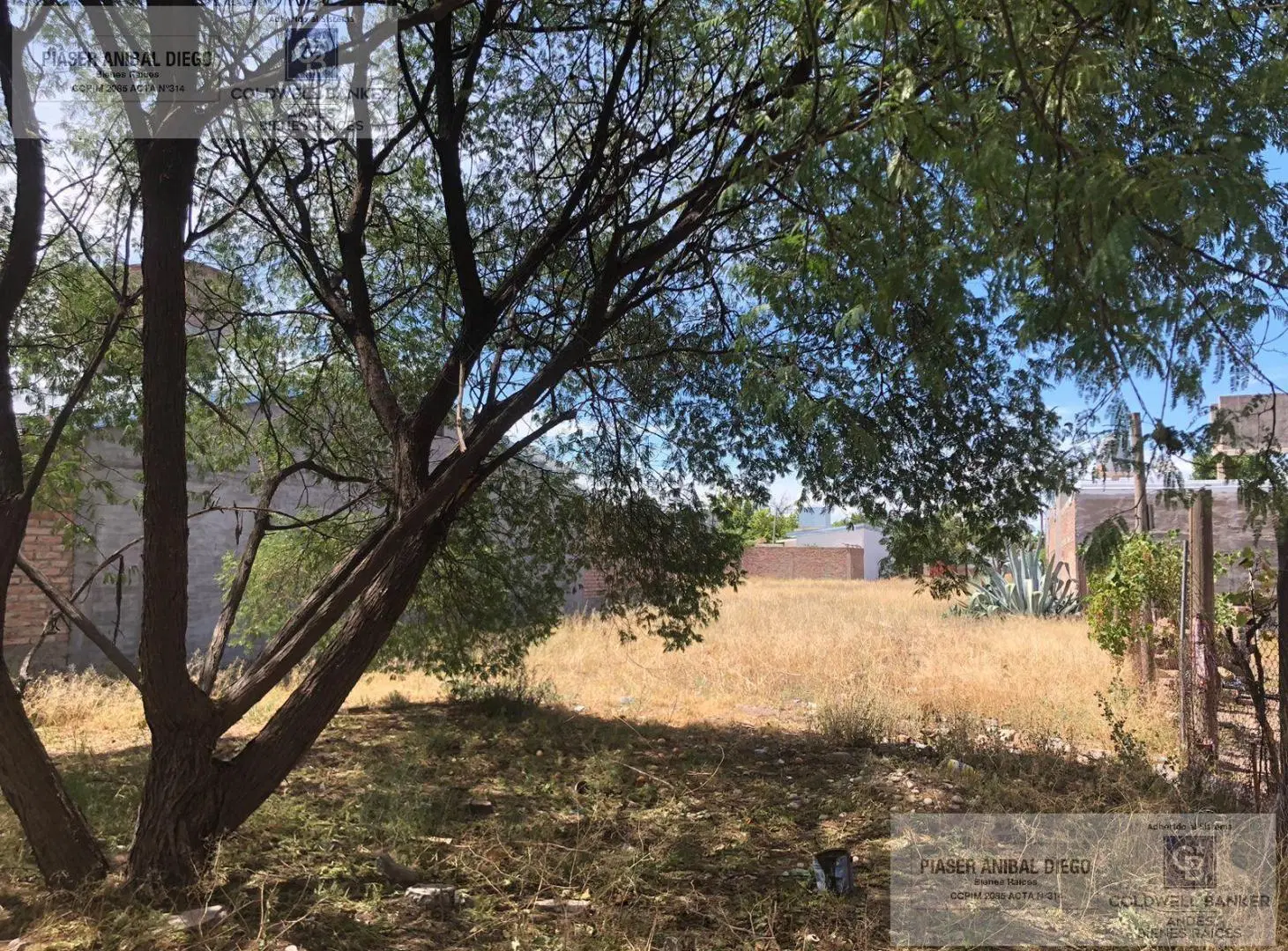 Terreno en San Rafael 3