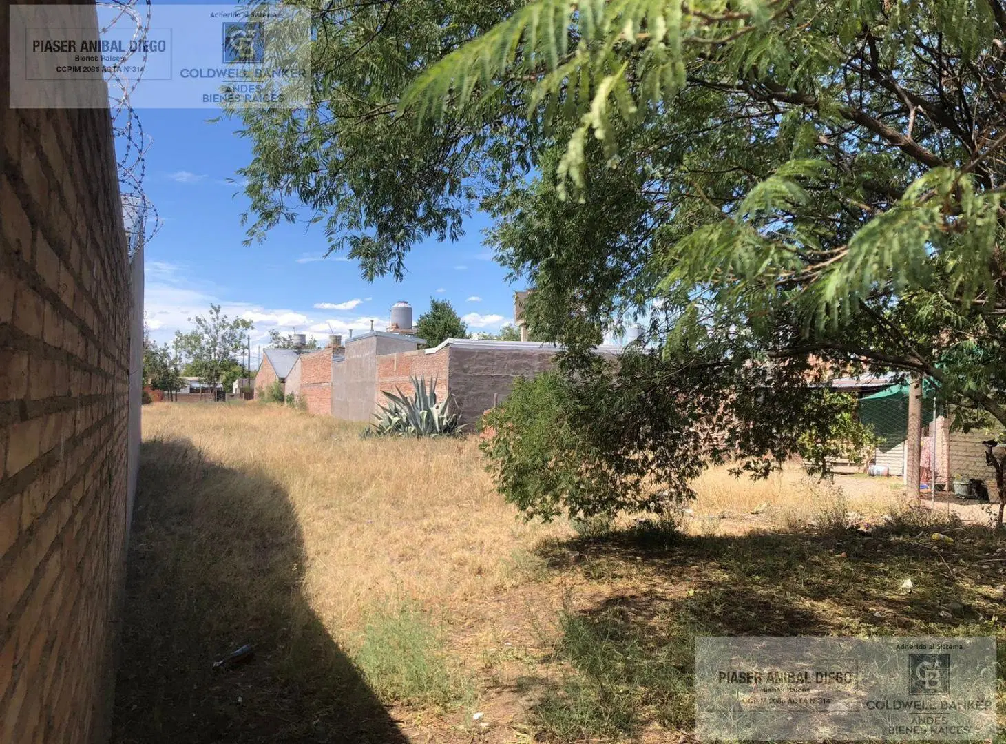 Terreno en San Rafael 5