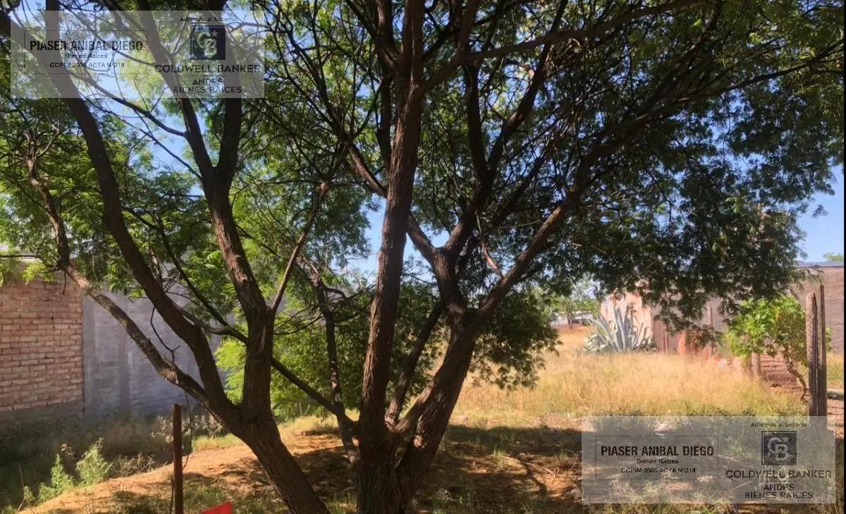 Terreno en San Rafael 2