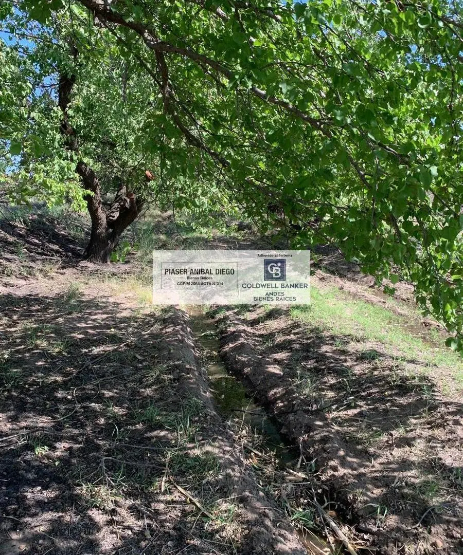 Finca 10 Hectáreas Real del Padre 5