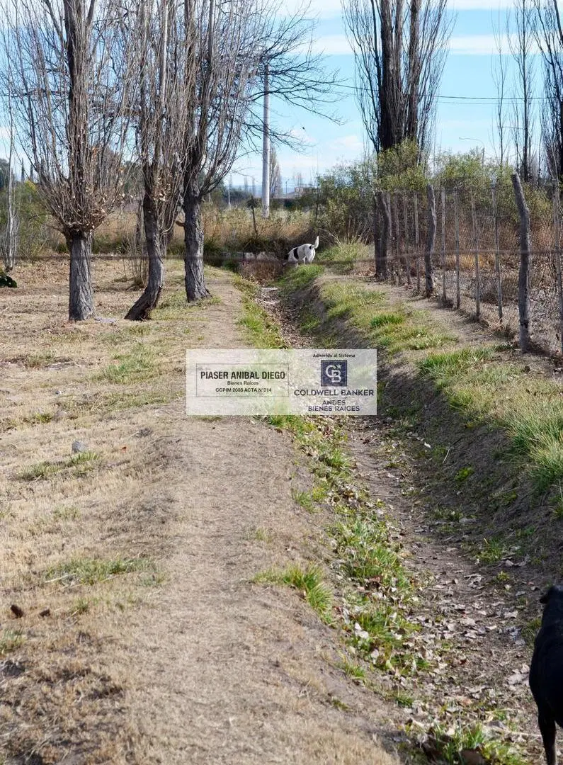 Terreno en Rama Caida 5