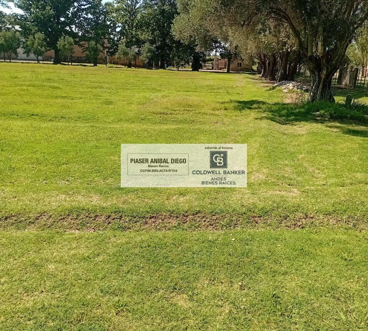 Foto de Terreno en Rama Caida, imagen 4