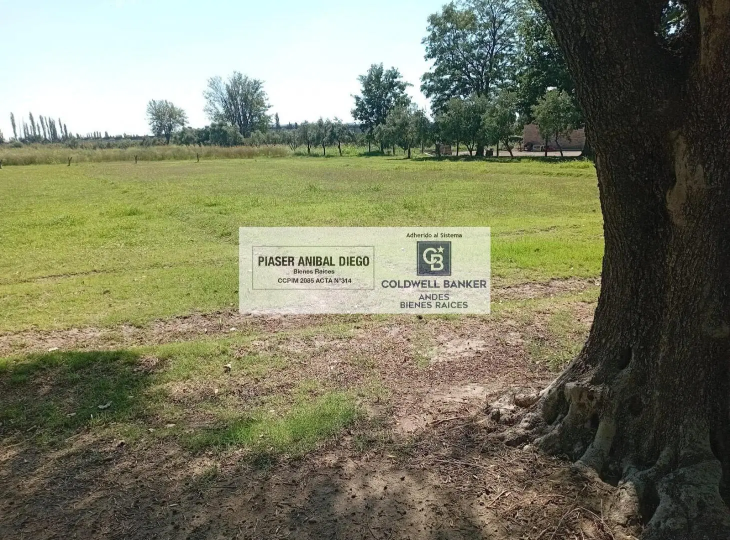 Terreno en Rama Caida 8
