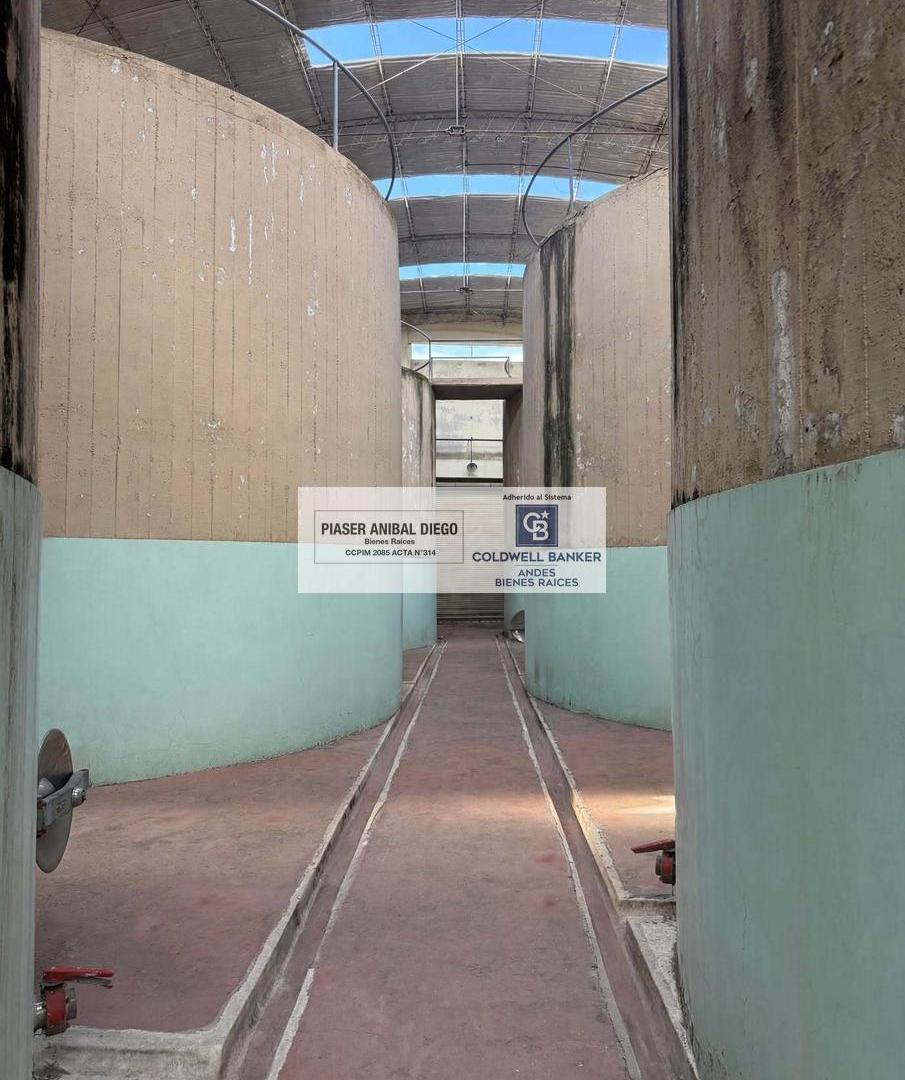 Foto de Bodega en San Rafael, imagen 3