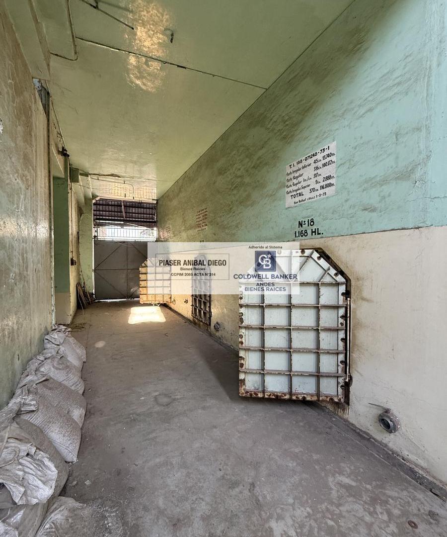 Foto de Bodega en San Rafael, imagen 2