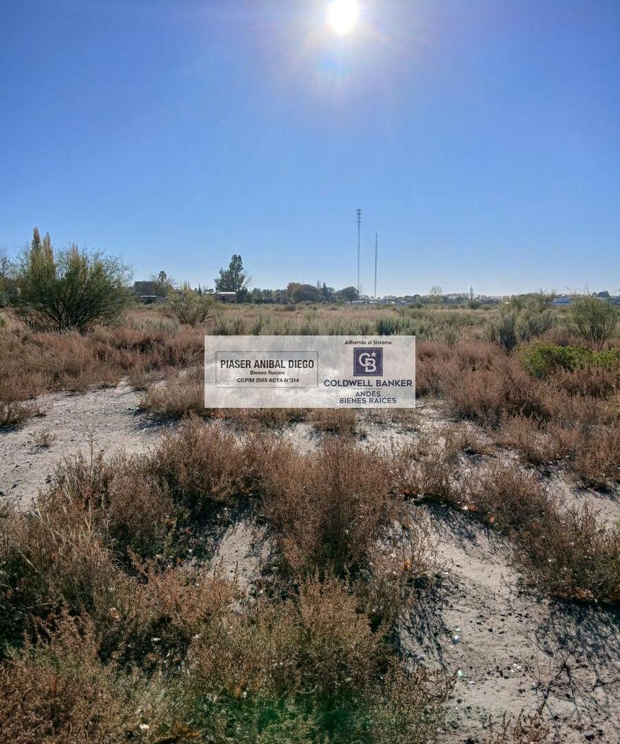 Foto de Terreno en San Rafael Villa Suter. Calle Sarmiento., imagen 3