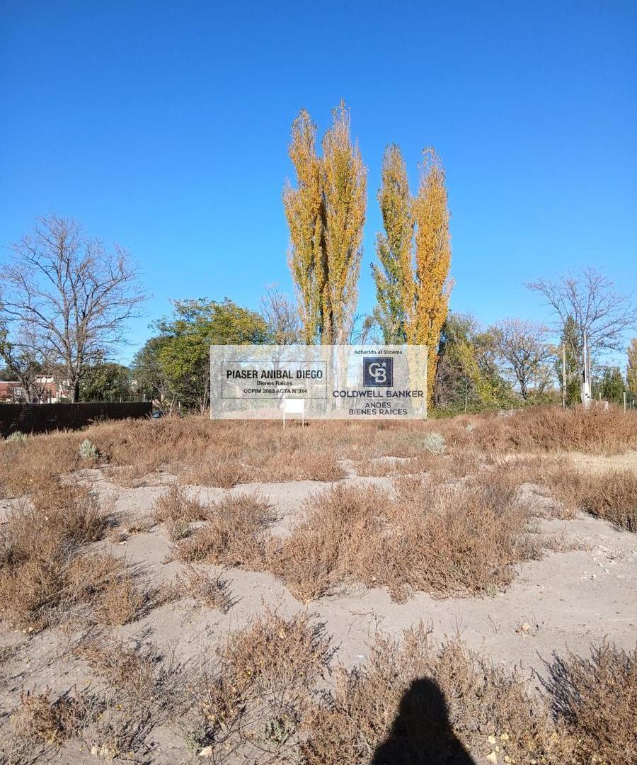 Foto de Terreno en San Rafael Villa Suter. Calle Sarmiento., imagen 4