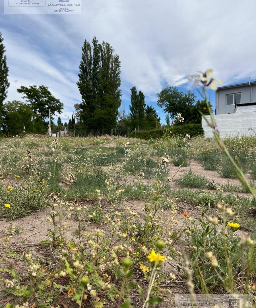 Foto de Terreno en San Rafael Villa Suter. Calle Sarmiento., imagen 1