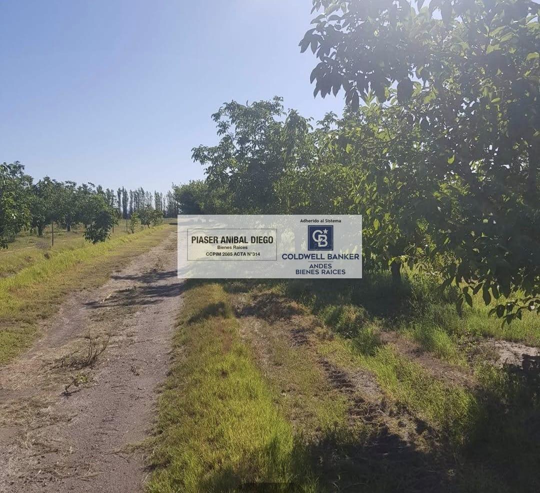 Finca en Goudge-San Rafael