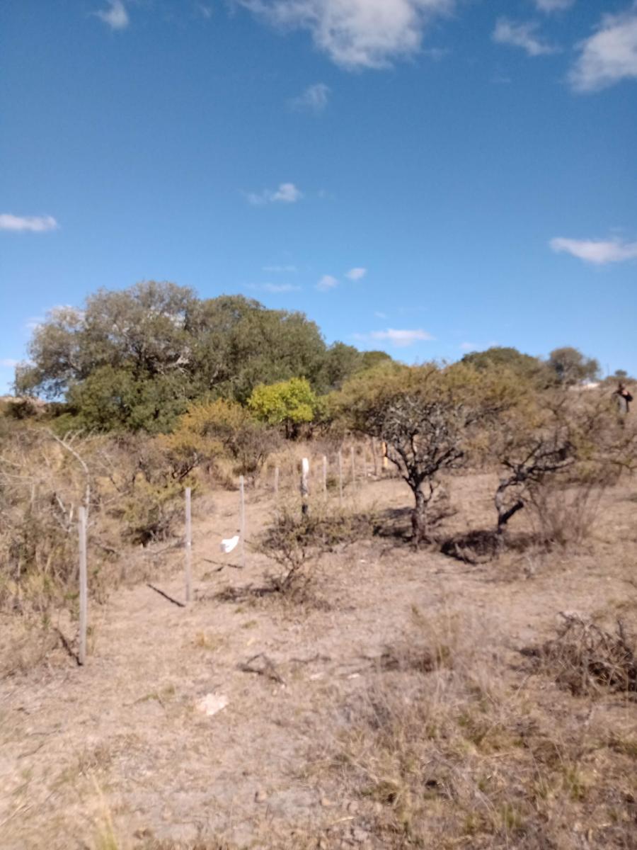 Foto de LOTE 1720M2 EN COMUNA CALMAYO, imagen 2