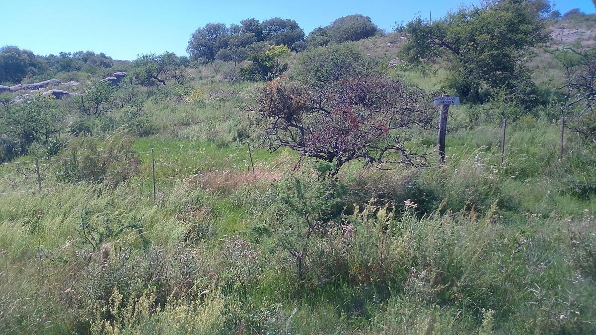 LOTE 1720M2 EN COMUNA CALMAYO