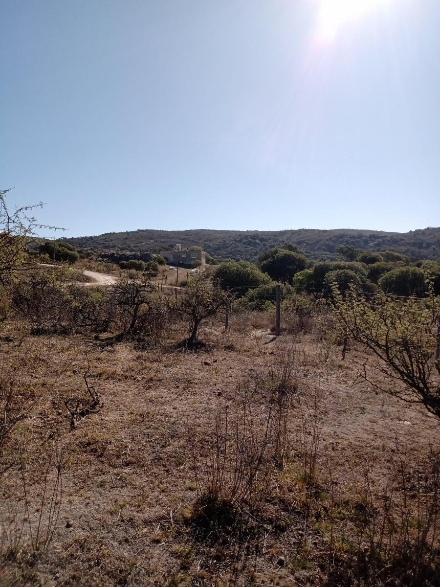 Foto de LOTE 1720M2 EN COMUNA CALMAYO, imagen 5