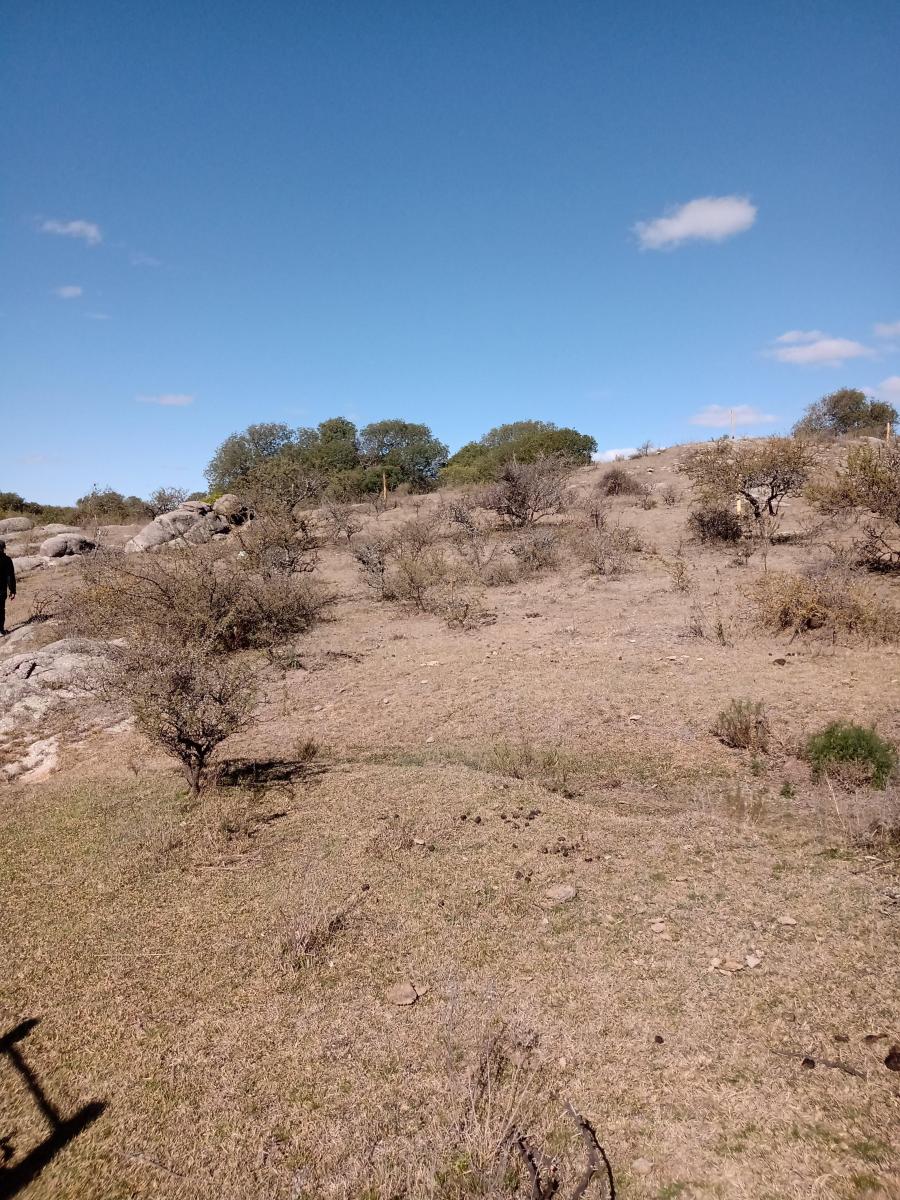 Foto de LOTE 1720M2 EN COMUNA CALMAYO, imagen 4