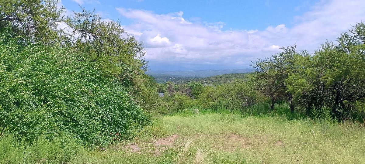 ESQUINA PREMIUM 875 m² - VISTAS PANORÁMICAS | SANTA MÓNICA