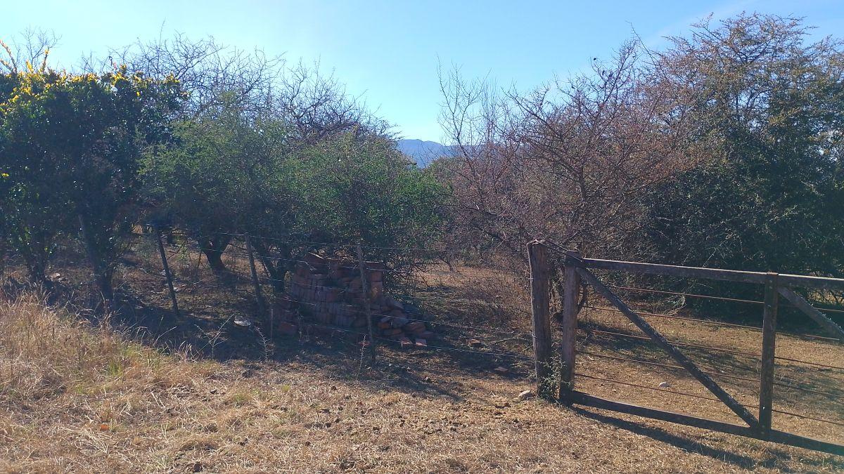 Foto de Oportunidad Santa Mónica - Amplio Lote - Vistas y Tranquilidad, imagen 4