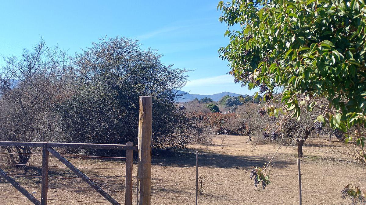Foto de Oportunidad Santa Mónica - Amplio Lote - Vistas y Tranquilidad, imagen 3